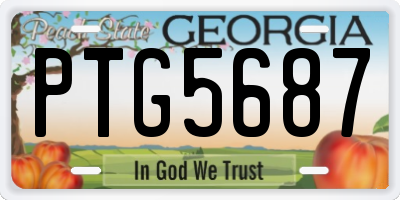 GA license plate PTG5687