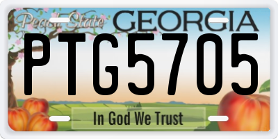 GA license plate PTG5705