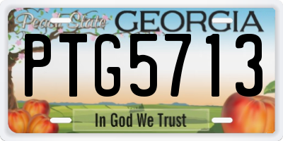 GA license plate PTG5713
