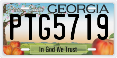 GA license plate PTG5719