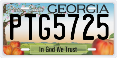 GA license plate PTG5725