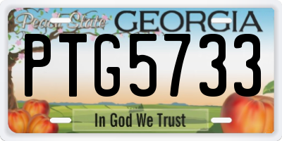 GA license plate PTG5733