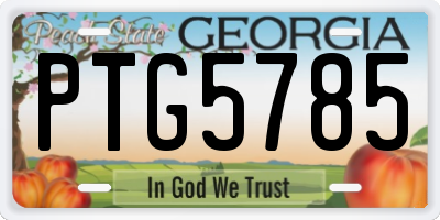 GA license plate PTG5785