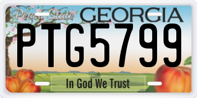 GA license plate PTG5799
