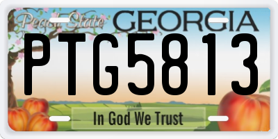 GA license plate PTG5813