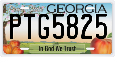 GA license plate PTG5825