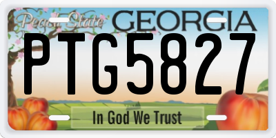 GA license plate PTG5827