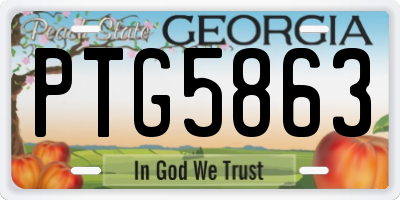 GA license plate PTG5863