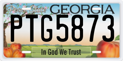GA license plate PTG5873