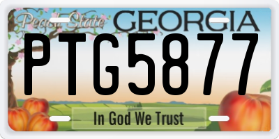 GA license plate PTG5877