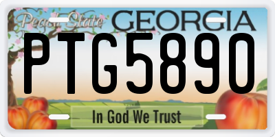 GA license plate PTG5890