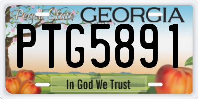 GA license plate PTG5891