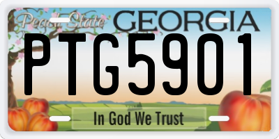 GA license plate PTG5901