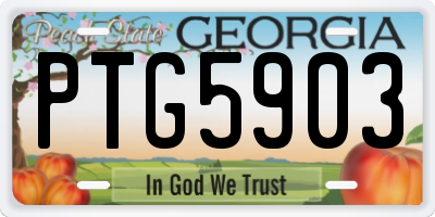 GA license plate PTG5903