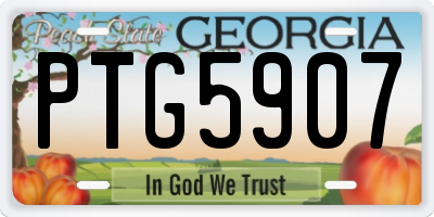 GA license plate PTG5907