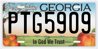 GA license plate PTG5909