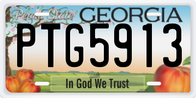 GA license plate PTG5913