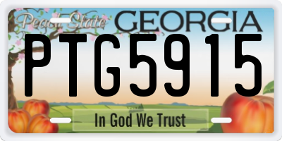 GA license plate PTG5915