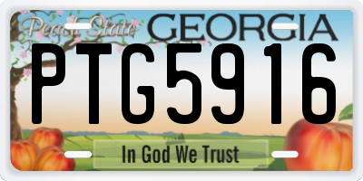 GA license plate PTG5916