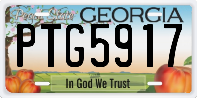GA license plate PTG5917