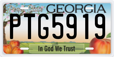 GA license plate PTG5919
