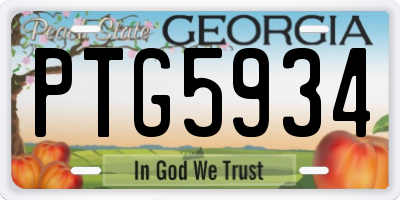 GA license plate PTG5934