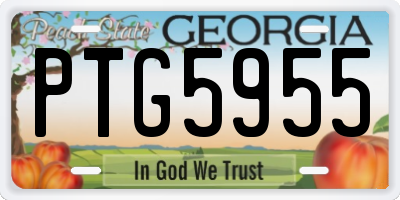 GA license plate PTG5955