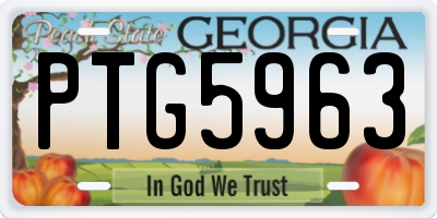 GA license plate PTG5963