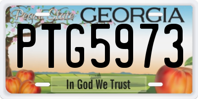 GA license plate PTG5973