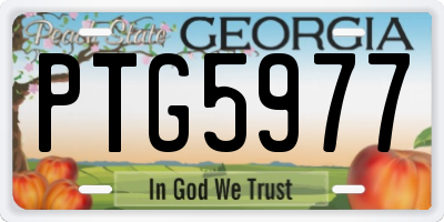 GA license plate PTG5977