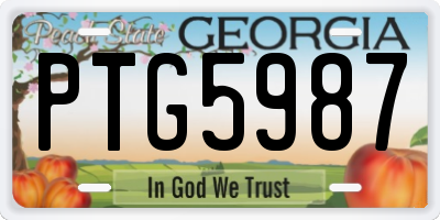 GA license plate PTG5987