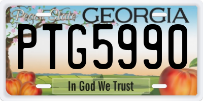 GA license plate PTG5990