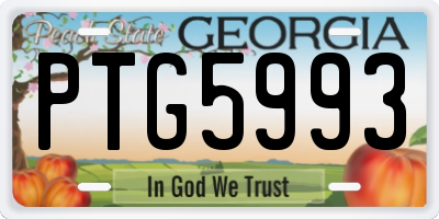 GA license plate PTG5993