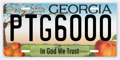 GA license plate PTG6000