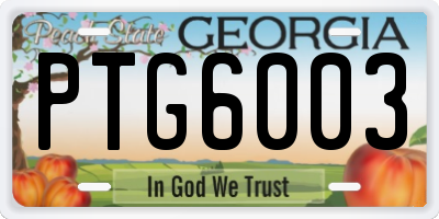 GA license plate PTG6003