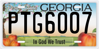 GA license plate PTG6007