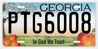 GA license plate PTG6008