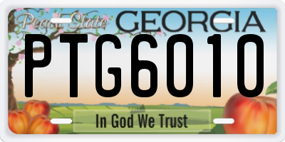 GA license plate PTG6010