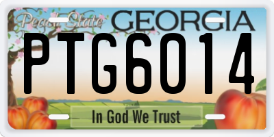 GA license plate PTG6014