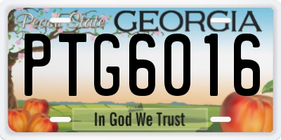 GA license plate PTG6016