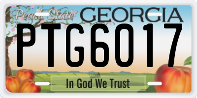 GA license plate PTG6017