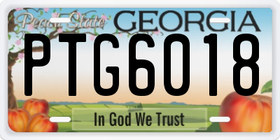 GA license plate PTG6018
