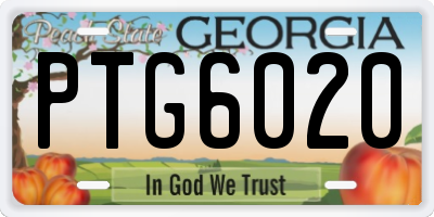 GA license plate PTG6020