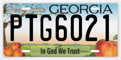 GA license plate PTG6021