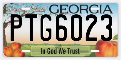 GA license plate PTG6023