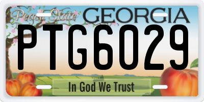 GA license plate PTG6029