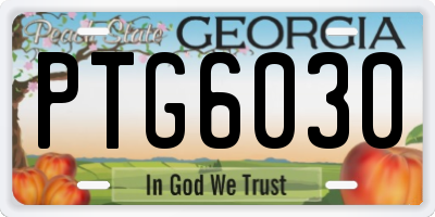 GA license plate PTG6030
