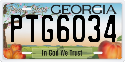 GA license plate PTG6034