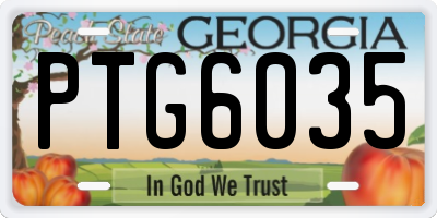 GA license plate PTG6035
