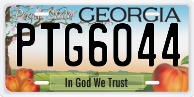 GA license plate PTG6044